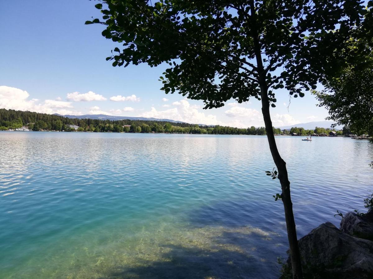 Ferienwohnung Duernberger Liebenfels Exteriör bild