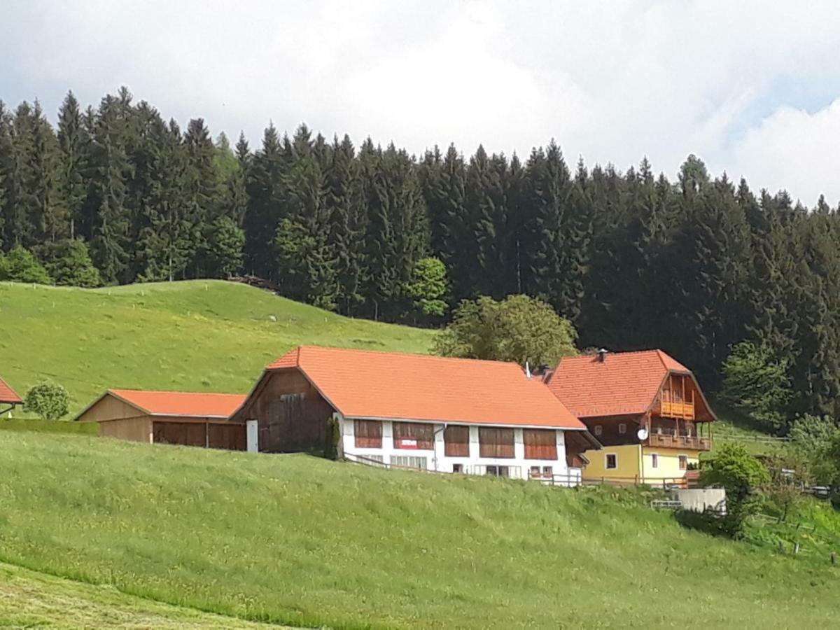 Ferienwohnung Duernberger Liebenfels Exteriör bild